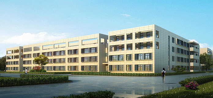 我們的優(yōu)勢01